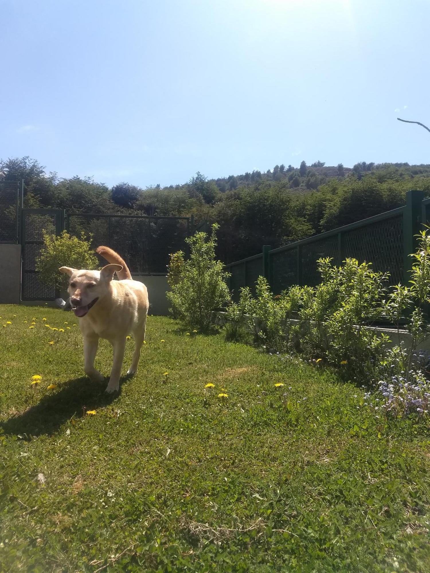 Buenavida Guesthouse Ουσουάια Εξωτερικό φωτογραφία